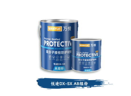 悅途DX-SX AB組份